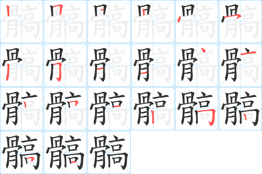 髇的笔顺