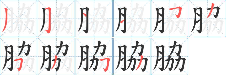 脇的笔顺