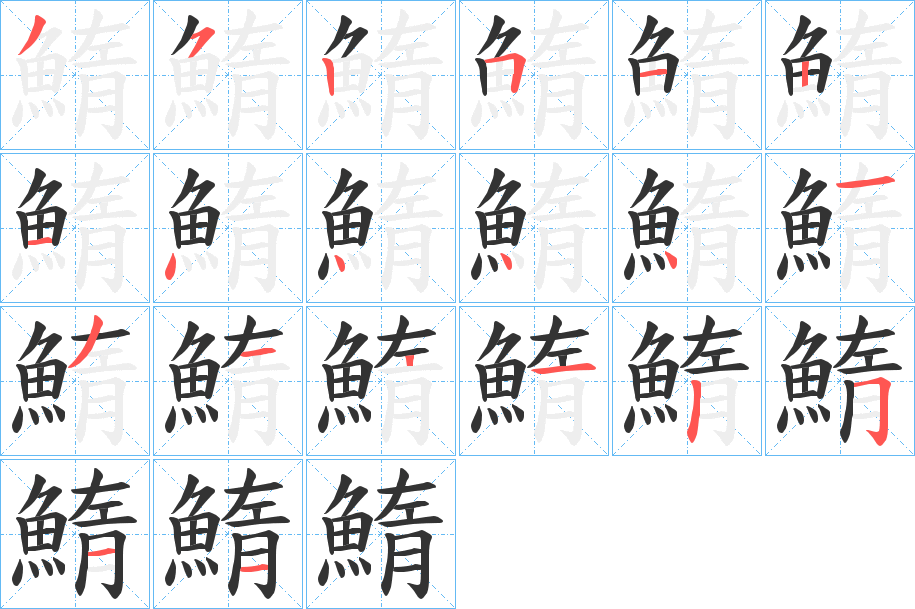 鰖的笔顺