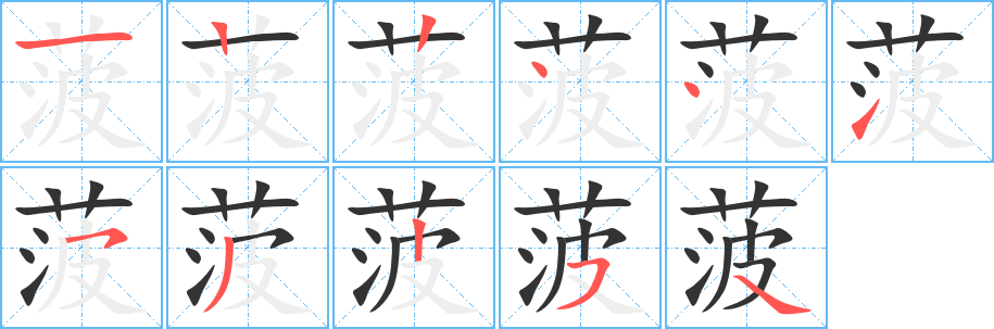 菠的笔顺