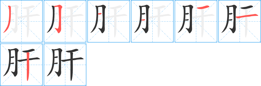 肝的笔顺