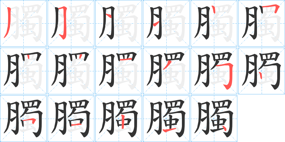 臅的笔顺