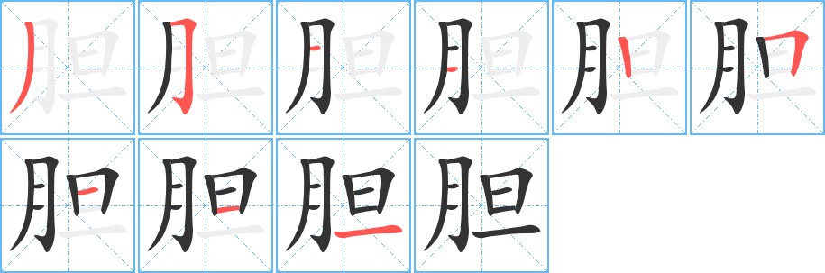 胆的笔顺