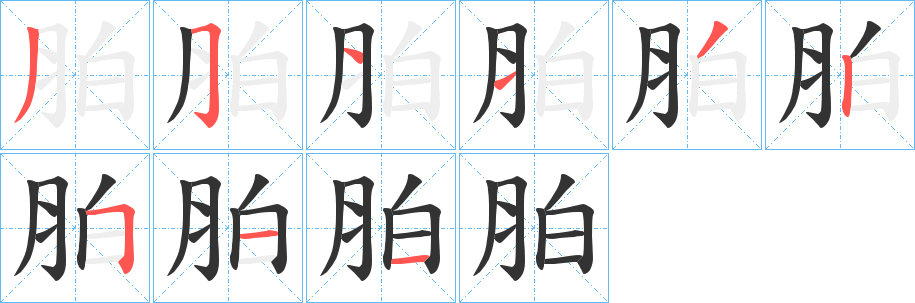 胉的笔顺