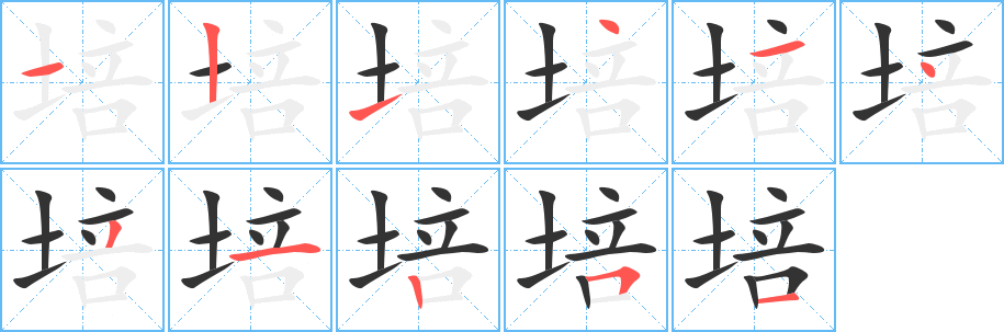培的笔顺