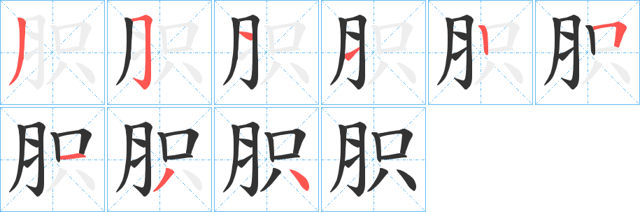 胑的笔顺