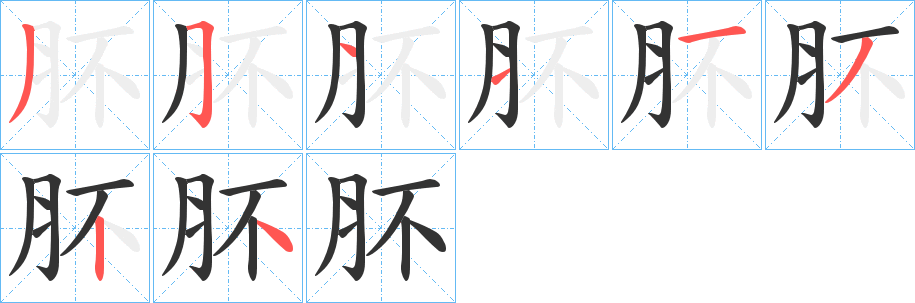 肧的笔顺