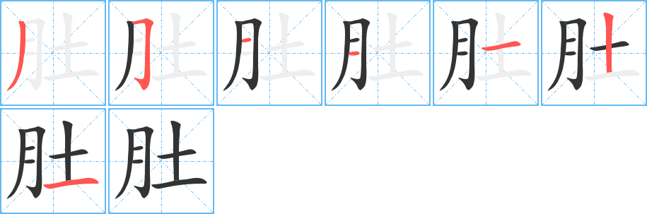 肚的笔顺