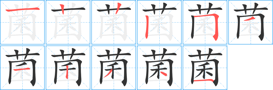 菌的笔顺