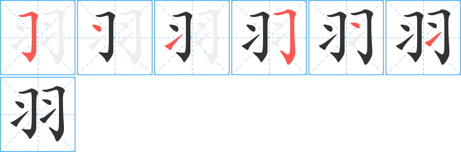 羽的笔顺