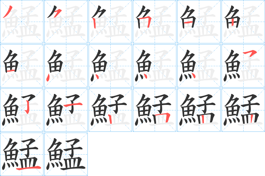 鯭的笔顺