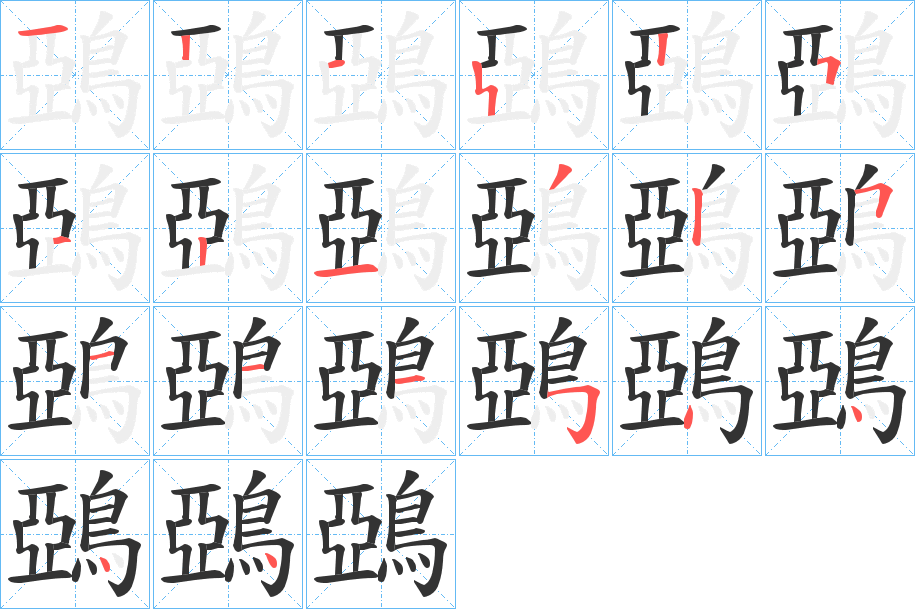 鵶的笔顺