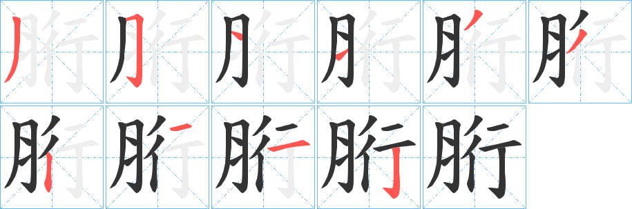 胻的笔顺