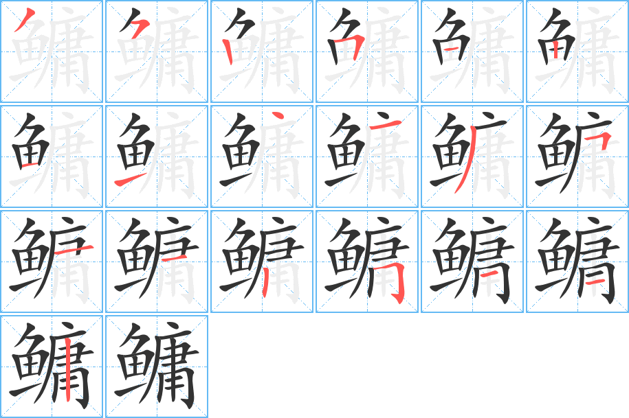 鳙的笔顺