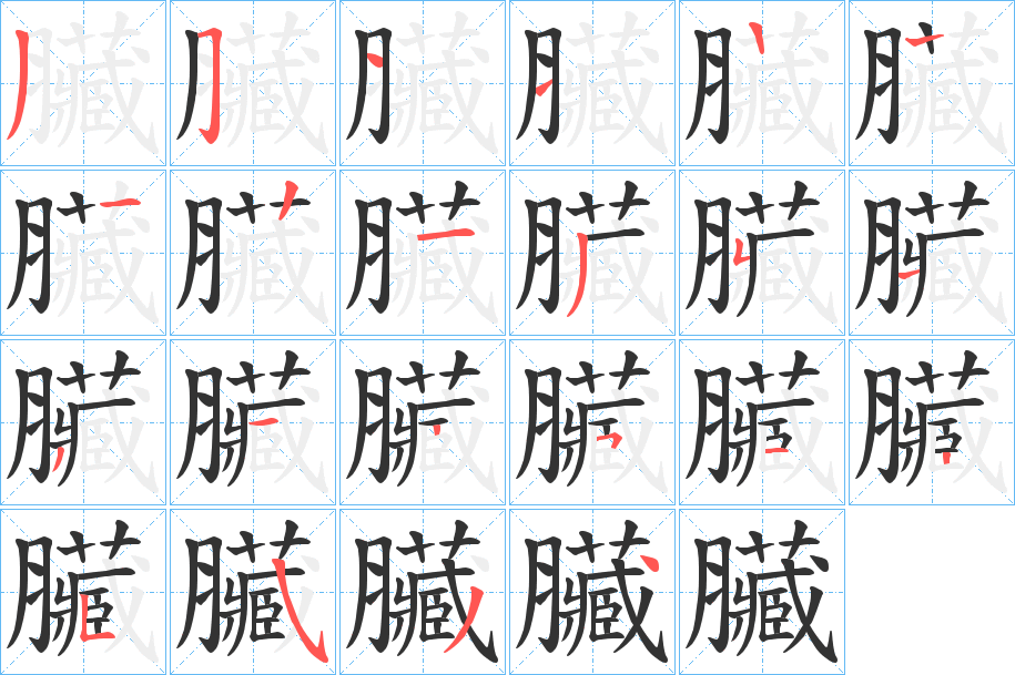 臟的笔顺
