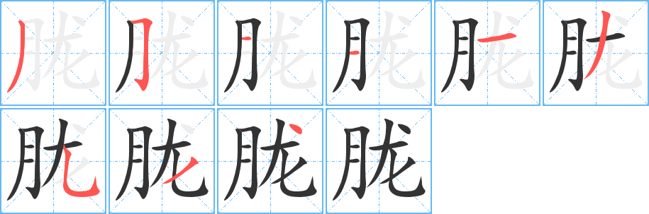 胧的笔顺