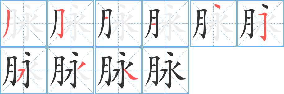 脉的笔顺
