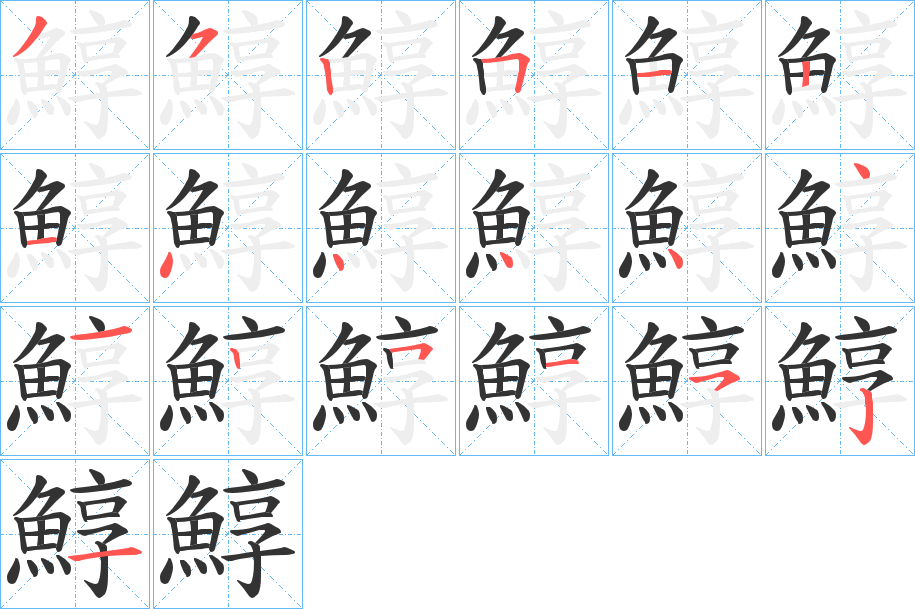 鯙的笔顺