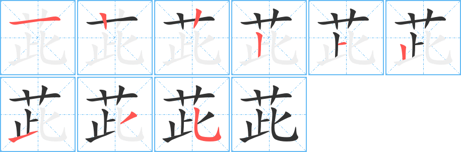 茈的笔顺