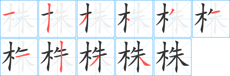 株的笔顺