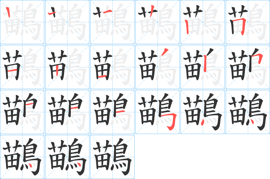 鶓的笔顺