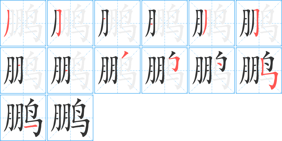 鹏的笔顺