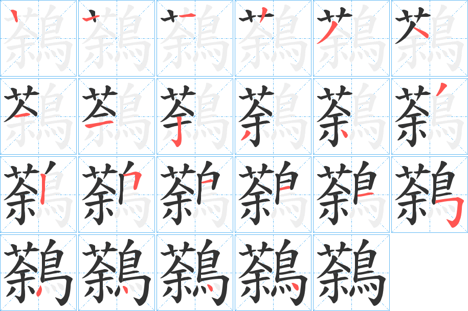 鷋的笔顺
