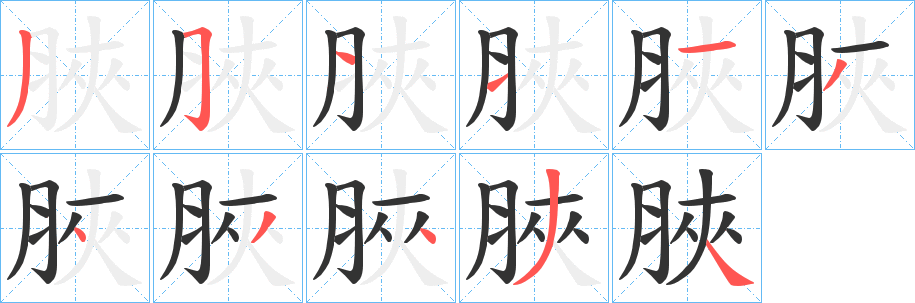 脥的笔顺