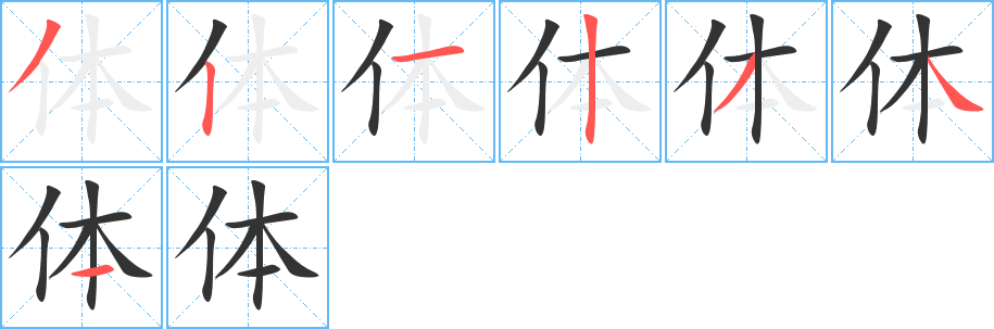 体的笔顺