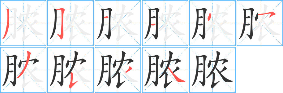 脓的笔顺