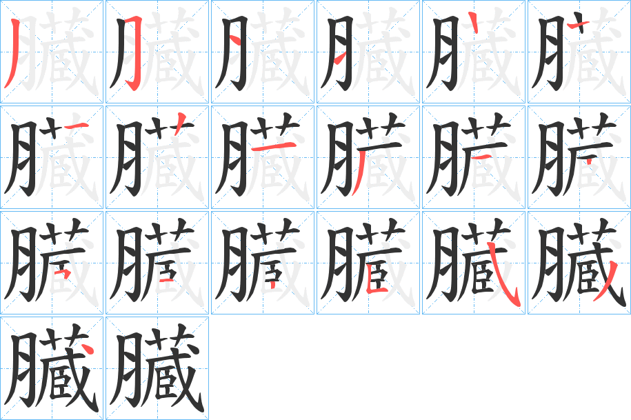 臓的笔顺