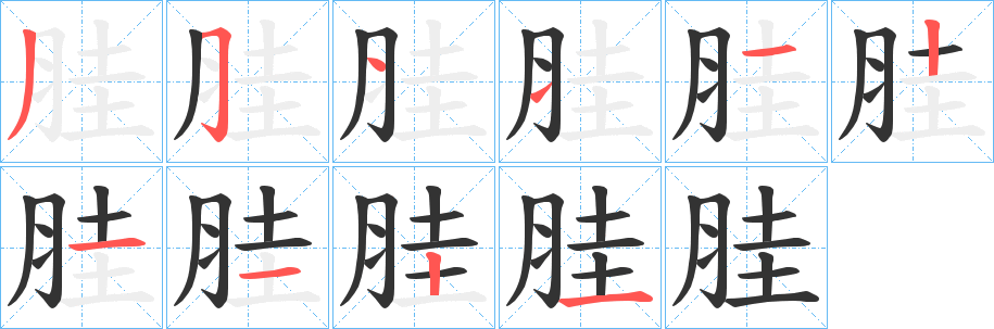 胿的笔顺