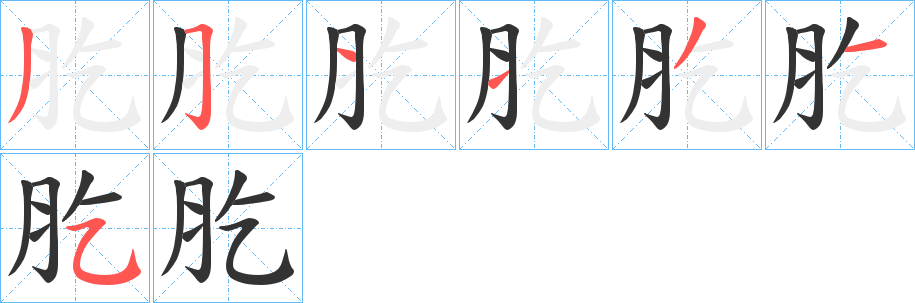 肐的笔顺