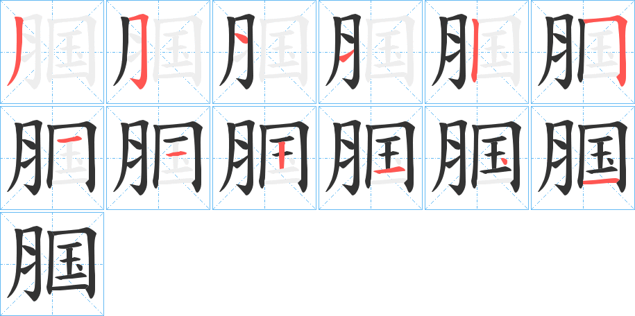 腘的笔顺