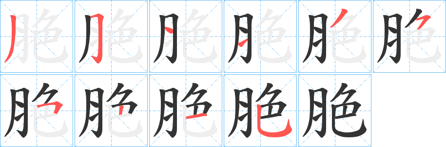脃的笔顺