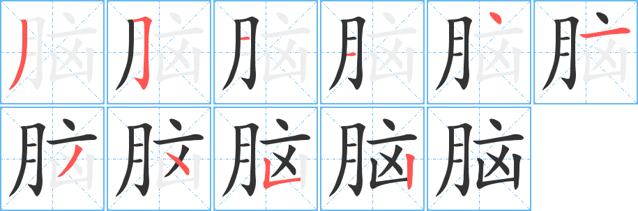 脑的笔顺
