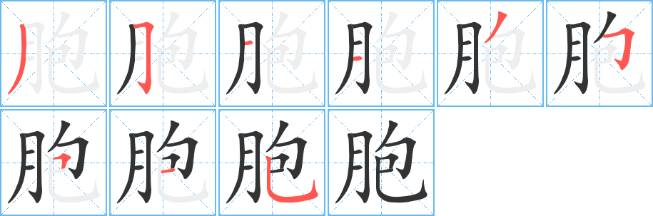 胞的笔顺