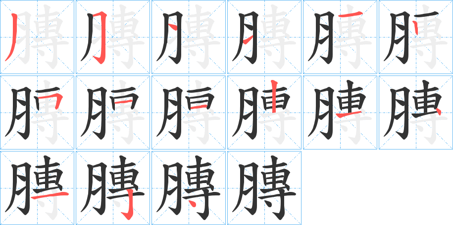 膞的笔顺