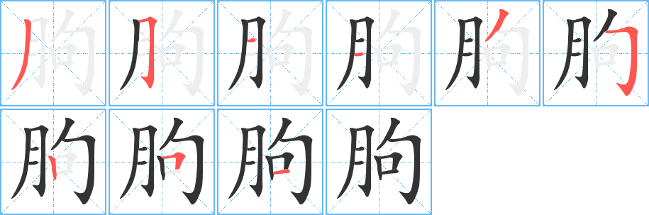 朐的笔顺