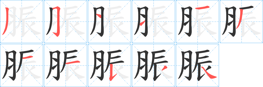脤的笔顺