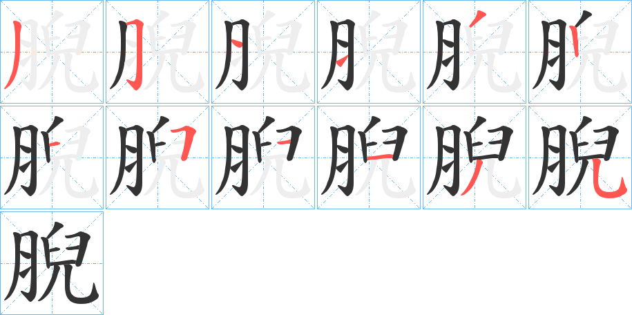 腉的笔顺
