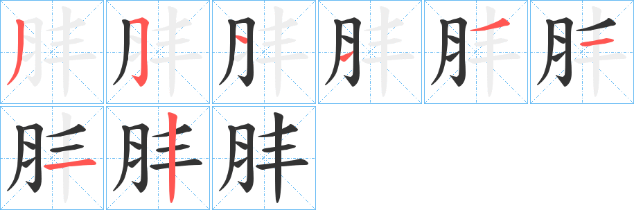 肨的笔顺
