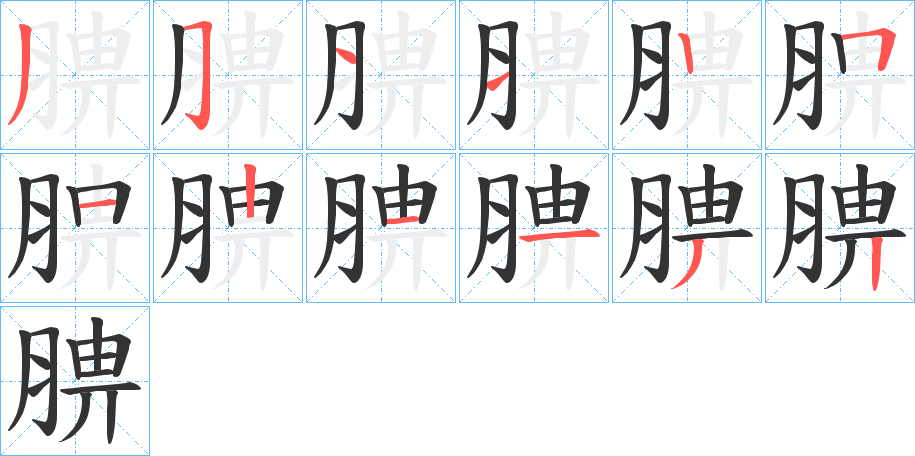 腗的笔顺