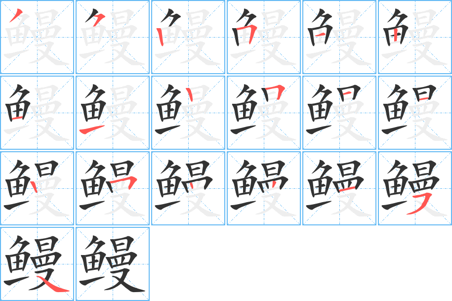 鳗的笔顺