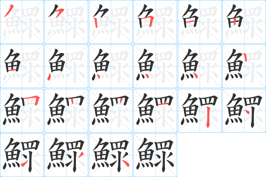 鰥的笔顺