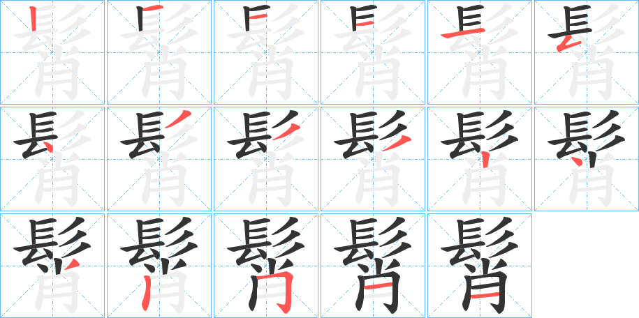 髾的笔顺