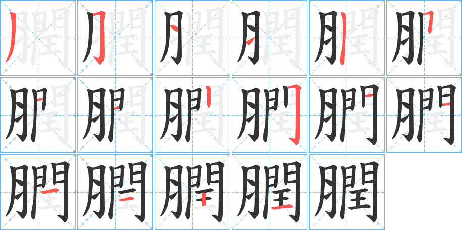 膶的笔顺
