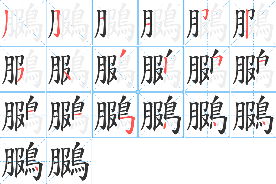 鵩的笔顺