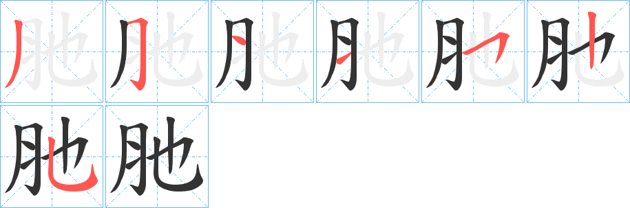 肔的笔顺