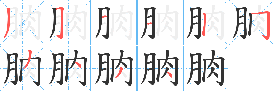 朒的笔顺
